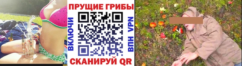 Псилоцибиновые грибы прущие грибы  Аткарск 